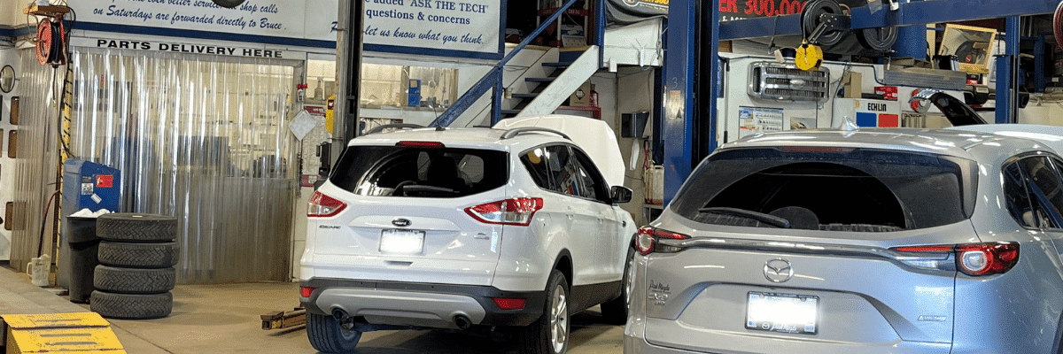 cars inside the shop